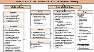 Frontiers Ureaplasma Urealyticum Infection Presenting As Altered